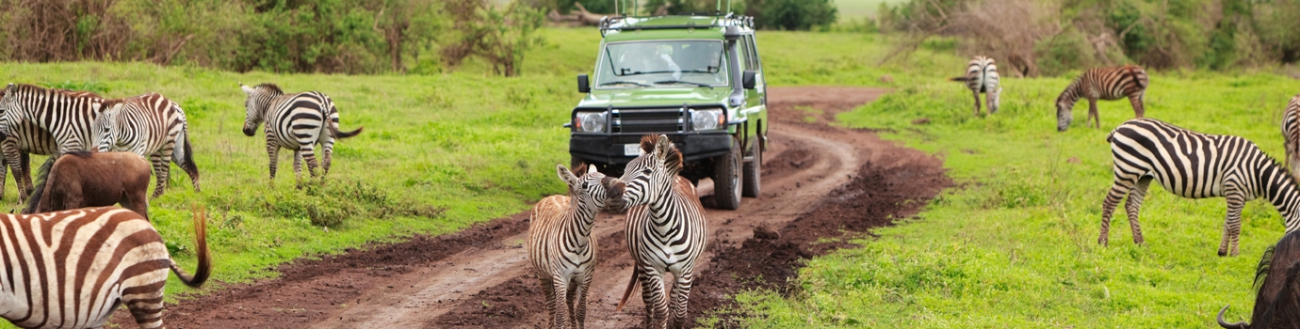 Tanzania Packages