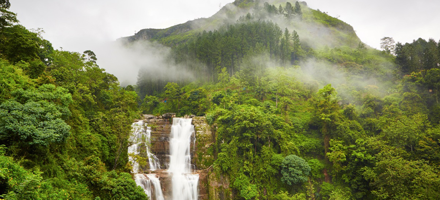 Best Of Sri Lanka