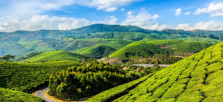 Fabulous Kerala
